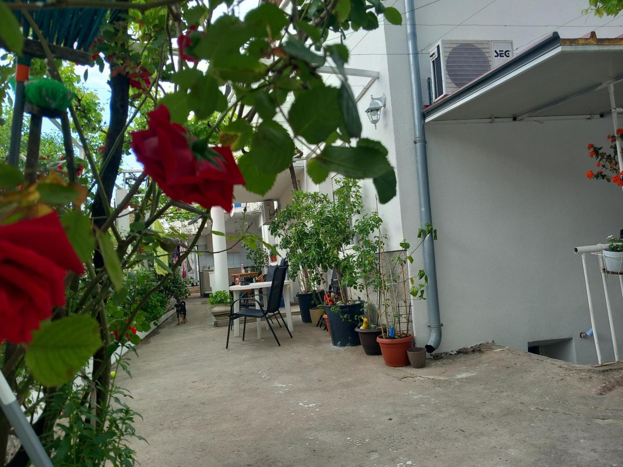 Guest House Dada Μόσταρ Εξωτερικό φωτογραφία